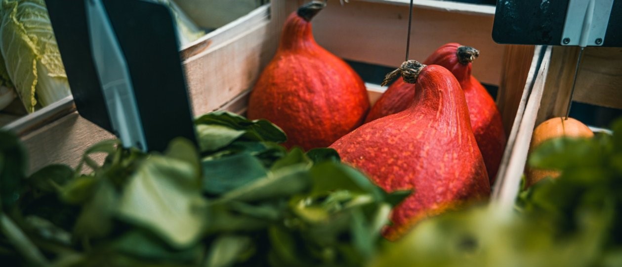 Découvrez nos produits